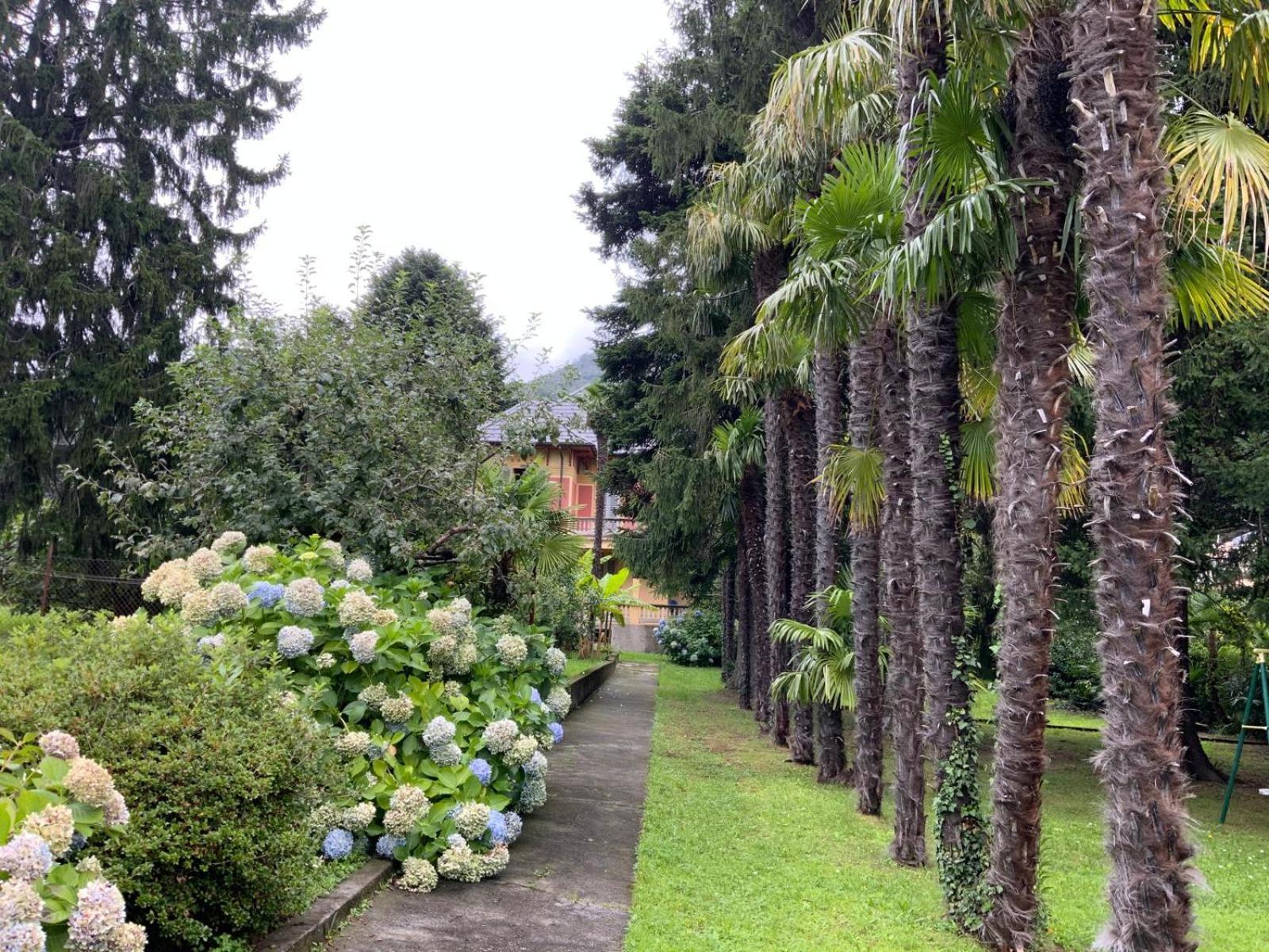 Villa Del Castanar Maccagno Exterior photo